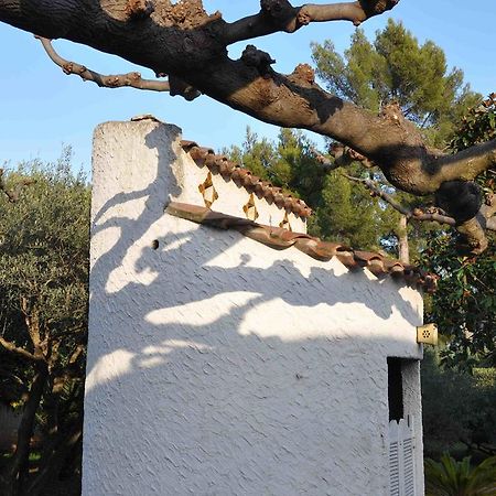 Du Cote De Chez Soi Hotel La Ciotat Kültér fotó