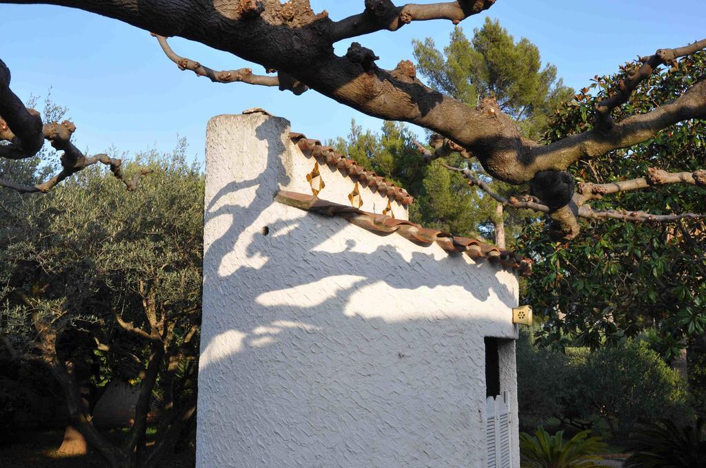 Du Cote De Chez Soi Hotel La Ciotat Kültér fotó